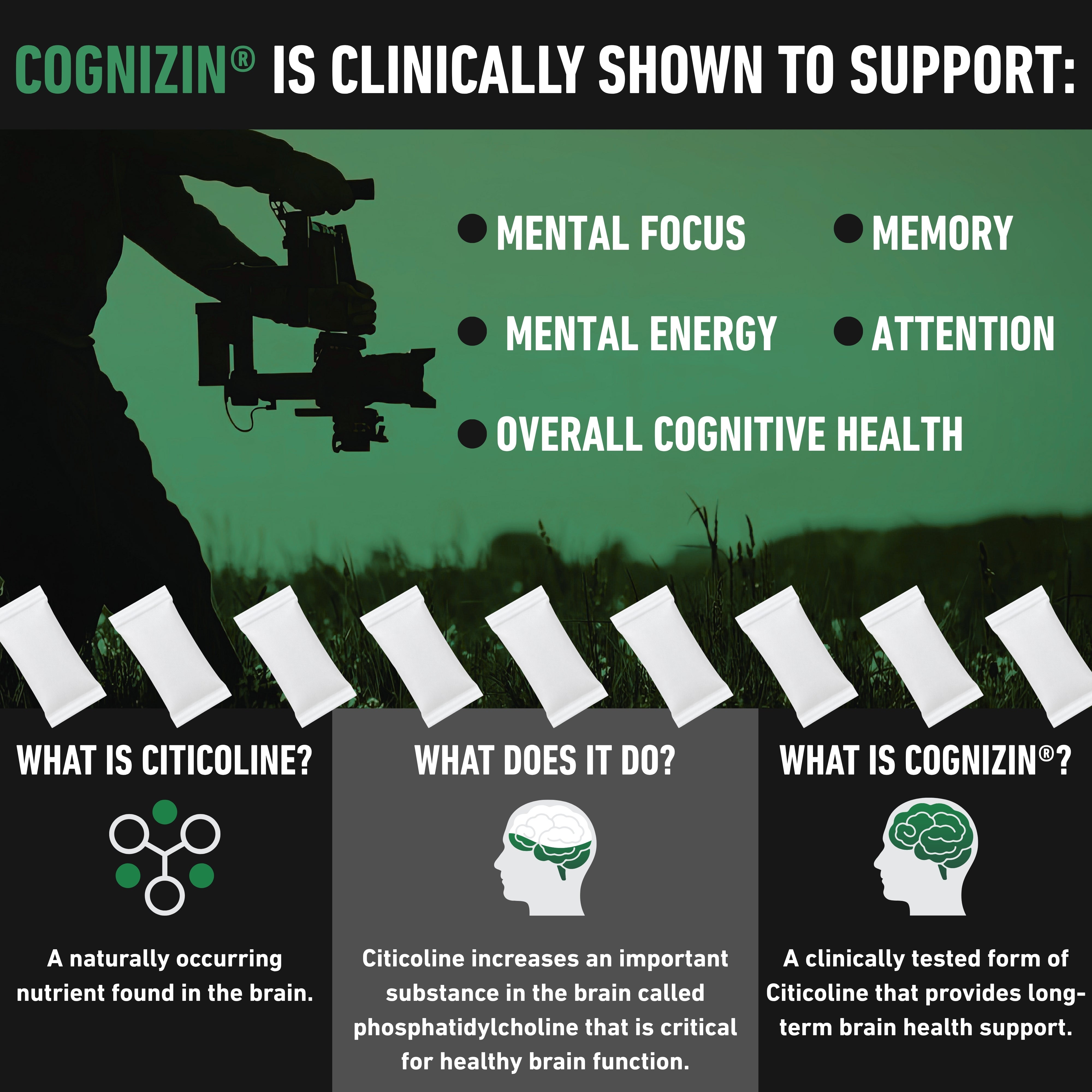 Wintergreen Energy & Focus Pouches