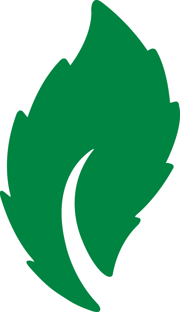 A stylized green leaf graphic on a solid black background.